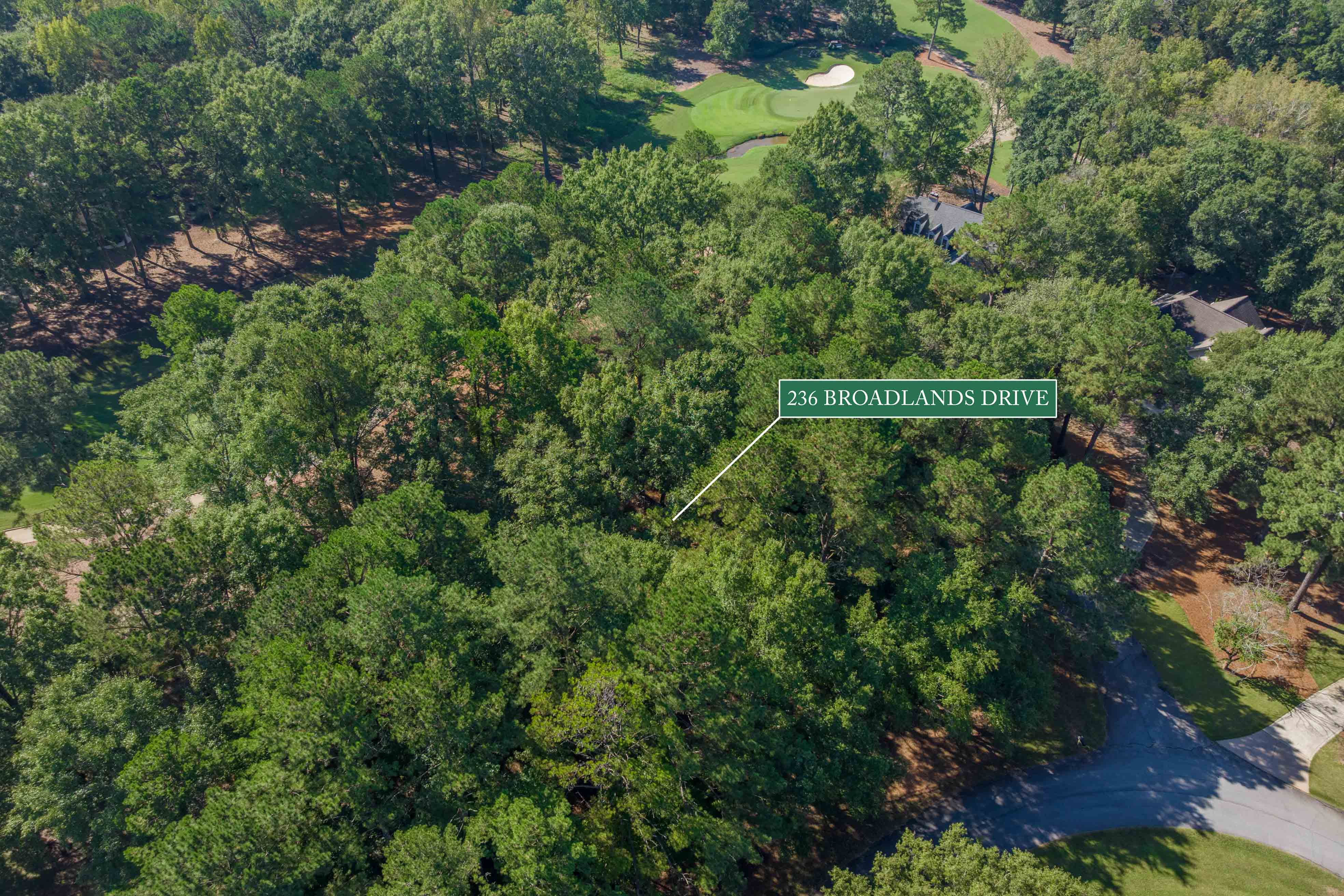 236 Broadlands Drive image 19